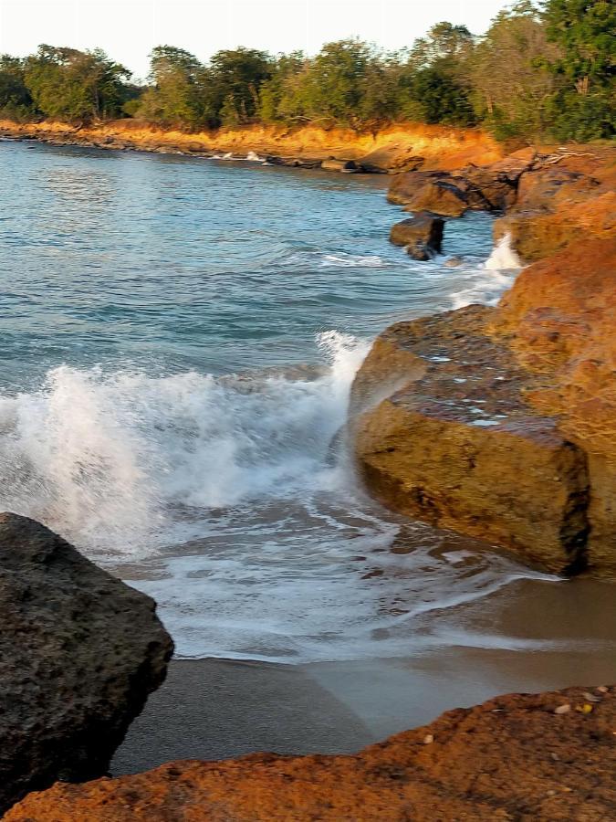 Isk Location Villa Sainte-Rose Bagian luar foto
